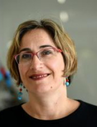 יפעת בן-דוד קוליקנט