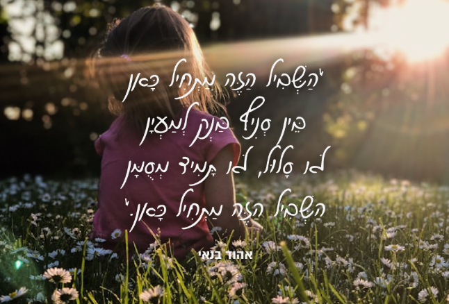 התמחות בהוראה