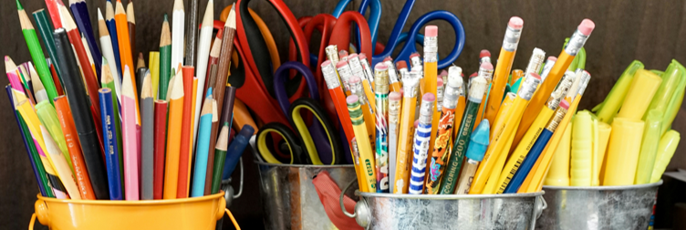 The structure of the studies