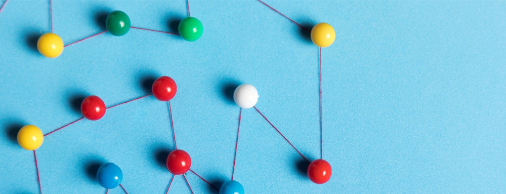 Work with organizations and authorities