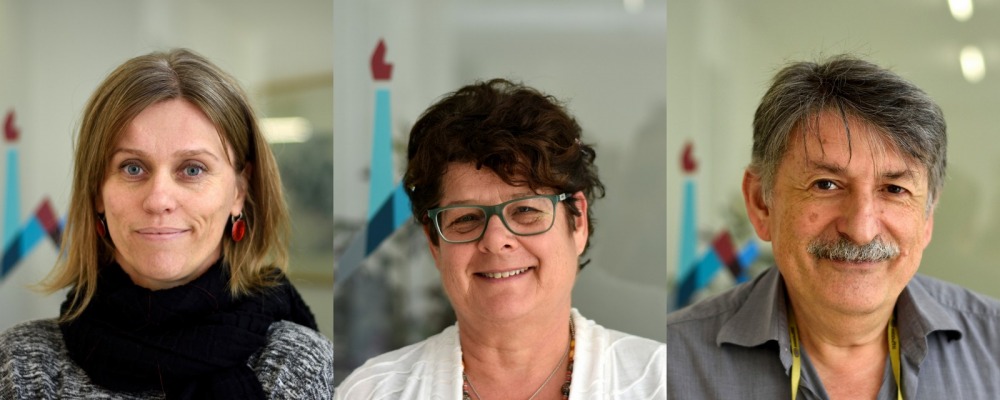 חמשת מרכזי המצוינות