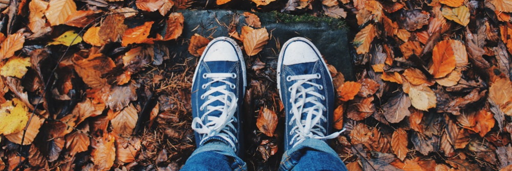 סטודנטים במעמד מיוחד