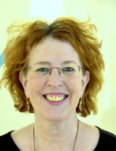 Viki Lipel